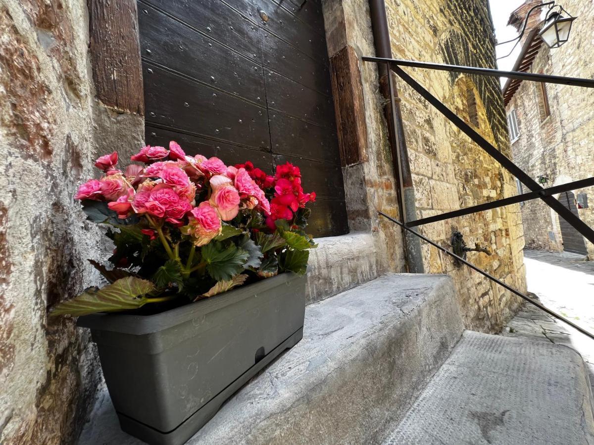 Dimora Casina Dell'abbondanza Apartment *