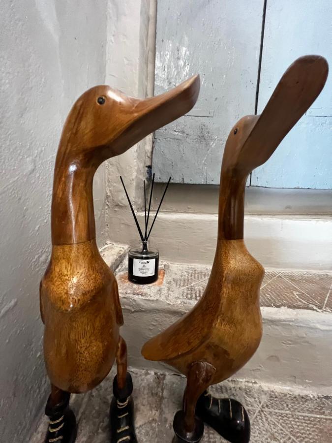 Dimora Casina Dell'abbondanza Appartamento *